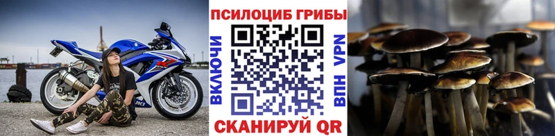 Галлюциногенные грибы Psilocybe МЕГА онион Клин