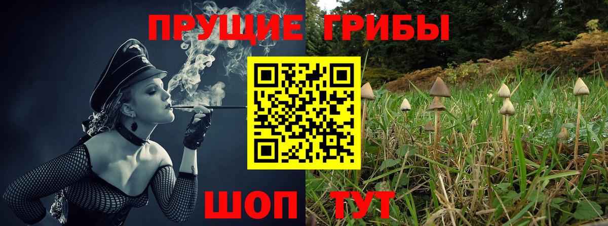 Галлюциногенные грибы Psilocybe Клин