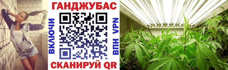мега вход  Клин  Бошки марихуана гибрид 