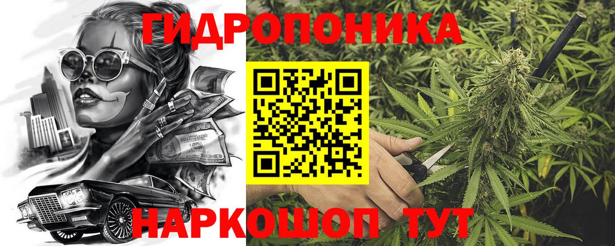 Бошки марихуана план Клин